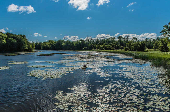 Image - Laval